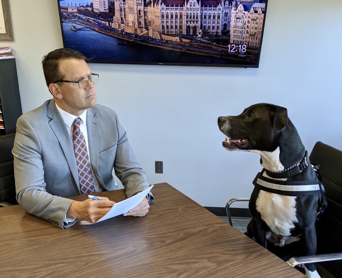 On a short leash Fredonia schools therapy dog News, Sports